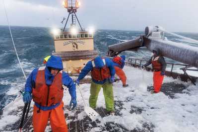 xtratuf black scales